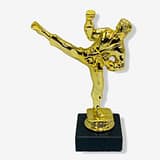 Karate Figure Trophy